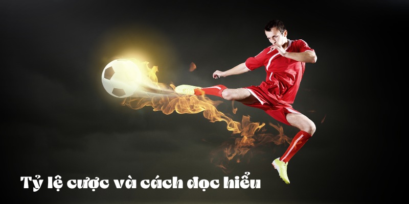 Cách Đọc Tin Tức Cá Cược Hiệu Quả Và Chính Xác Cùng 11bet 4 Tỷ lệ cược và cách đọc hiểu